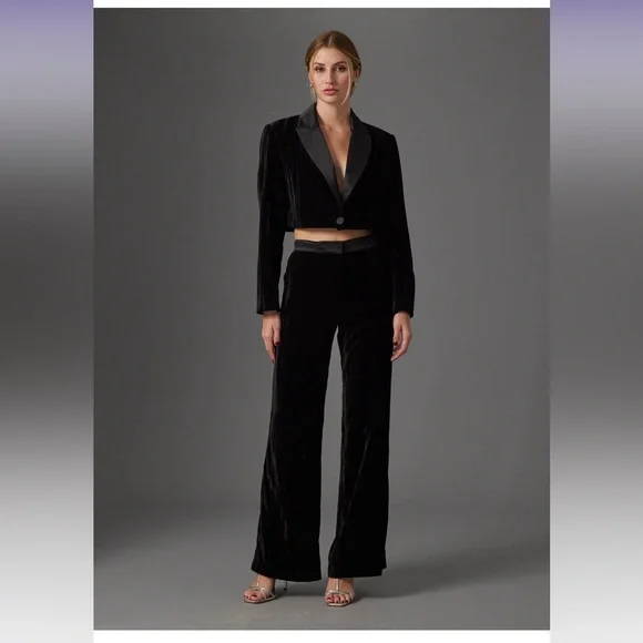 NWT Gilner Farrar cropped black velvet jacket